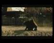 Amazing Stuntman