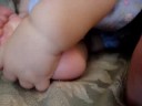 finding flippers