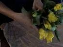 Se video