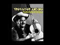 La Flor de Papa - El trovador Andino