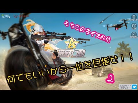 動画