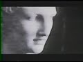 Cranes - Adoration