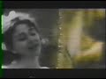 Cranes - Adoration