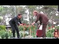 shep-huntly-slamming-arm-in-a-dingo-snare.html