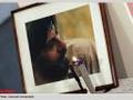 khosrow shakibaee remembrance
