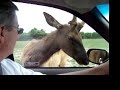 Zoo fun 1