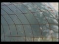 Cold Frames Cold Frames