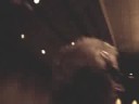 Nicolet 1973 Reunion - Pt. 4A - More Dancing & Table Visits!