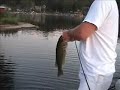 4 Pound Bass Caught on Screamin\