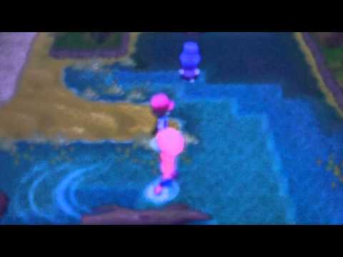 how to find pokemon hp type