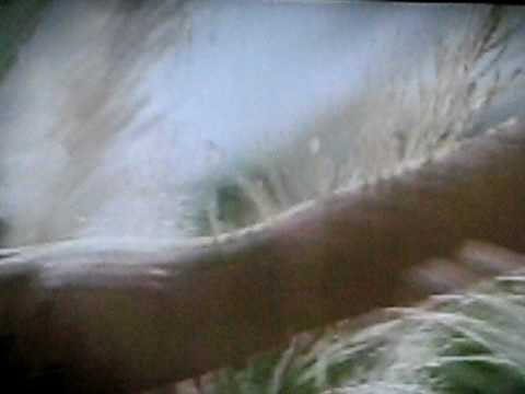 Bea Alonzo's New 4G Antioxidants TV Commercial