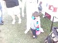 anthony at the goshen fair