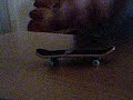 how to do an ollie on a tech deck the easy way
