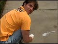 Bird Poop Bird Poop