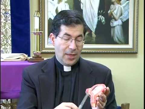 Abortion -This is a Suction Abortion