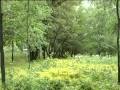 Цените жизнь (24.06.09) :: Цените жизнь (24.06.09)
