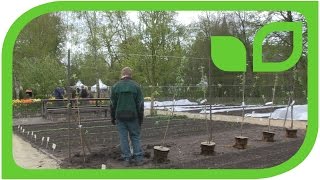 The New Lubera Fruit Hedges in the Kitchen Garden at the Ippenburg Castle
