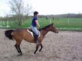 sniffer jumping