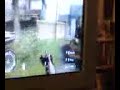 Playing call of duty, seriously