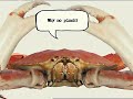 Honda Commercial with Crab Honda Commercial with Crab