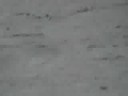 ski mizuho ski mizuho