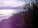 Magnifique vue du Port de B�jaia