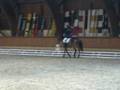 videos de CHACHA A BONDUES FOREST