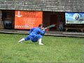 Wudang Pudao Wudang Pudao