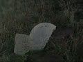 Cmentarz ?ydowski w Wodzis?awiu Cmentarz ?ydowski w Wodzis?awiu