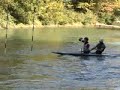 videos kayak