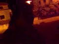 Setinh'zz em Fuga