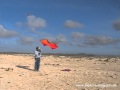 How Big are the Kites?