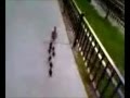 lost ducks run home through Chicago streets to duck pond