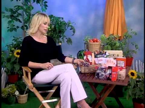 Josie Bissett
