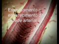 Promoção saude