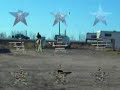 Rio Gaiting and Cantering