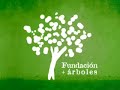 Plantar �rboles contra el calentamiento global