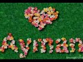 Ayman Zbib- ashoufak wein Ayman Zbib- ashoufak wein