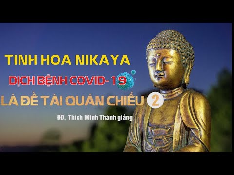 Tinh Hoa NIKAYA – Dịch Bệnh COVID 19 Là Đề Tài Quán Chiếu 2