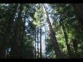  - MovieZen Video