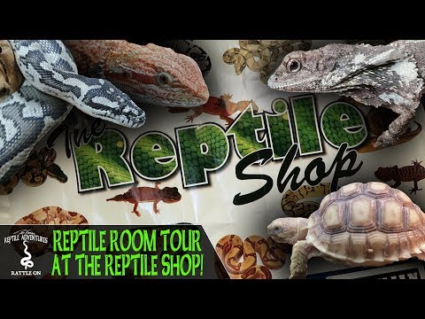 YouTube reptile video