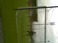ICT players warming up before game with Falkirk
