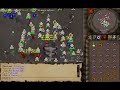 runescape RSD vs DS