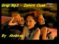 Grup MP3 - Zehirli �i�ek 2008 Yep Yeni Muzik Nette ilk Super