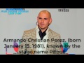 pitbull biography 2013 pitbull biography 2013