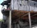 Videoclip de la selva peruana