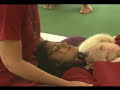 27th April Sannyas Celebration, Osho Tapoban