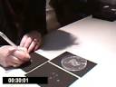 Gone To Earth - Dandelion Drawing. Judith Alder Gone To Earth - Dandelion Drawing. Judith Alder