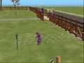 Sims 2 Pets Glitches (Sorry for Low Quality)