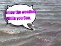 DCompose goes to the Beach